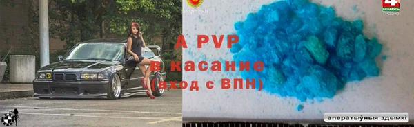 прущие грибы Нефтекумск