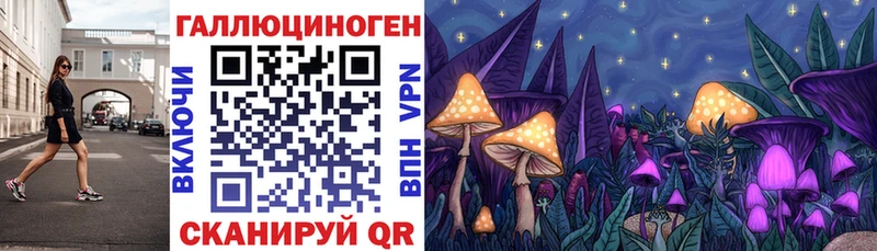 Псилоцибиновые грибы Cubensis  Батайск 