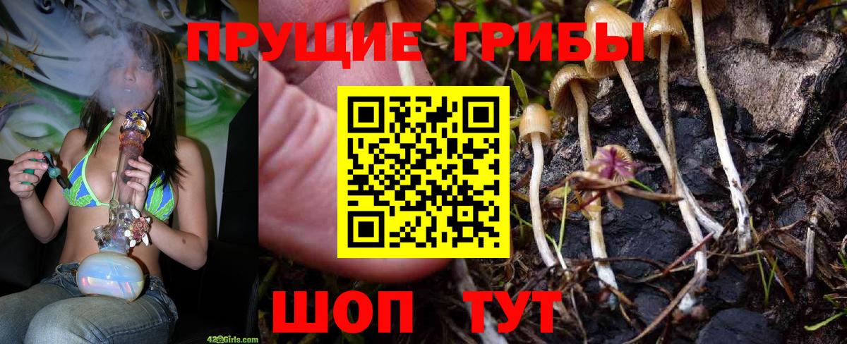 Галлюциногенные грибы Magic Shrooms Батайск