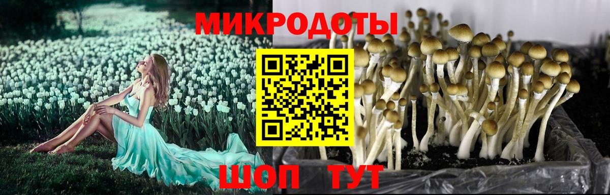 Галлюциногенные грибы ЛСД  Галлюциногенные грибы мухоморы  Батайск 